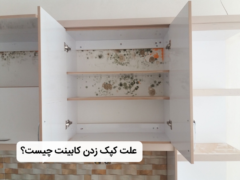 چرا کابینت کپک می زند؟